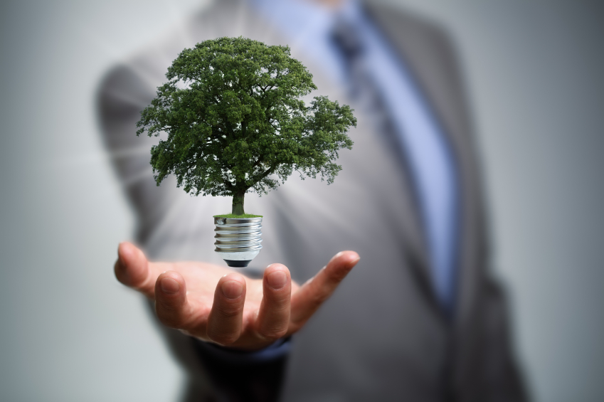 Image: Descubre la importancia de la logística verde para el medio ambiente