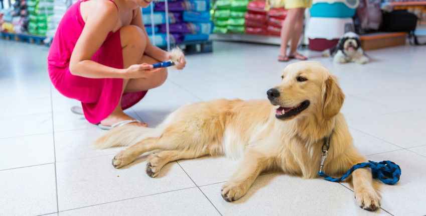 petshop