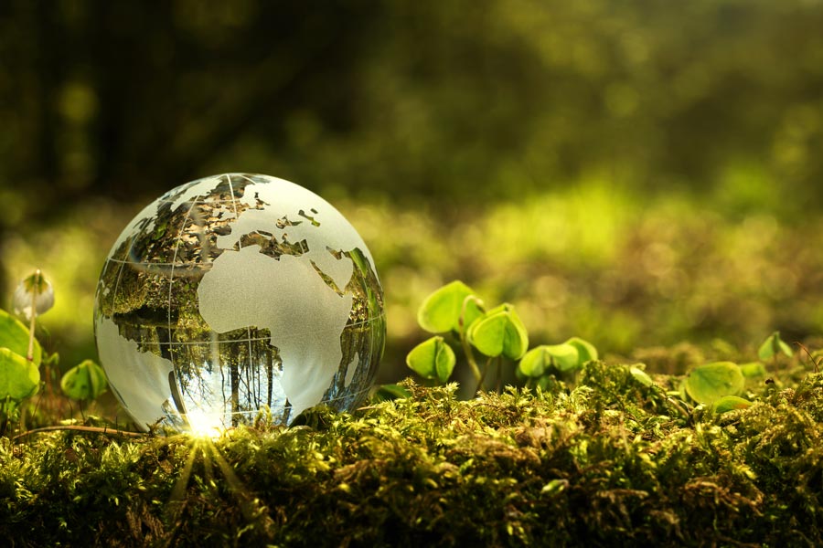 Image: Empresas tecnológicas y negocios verdes